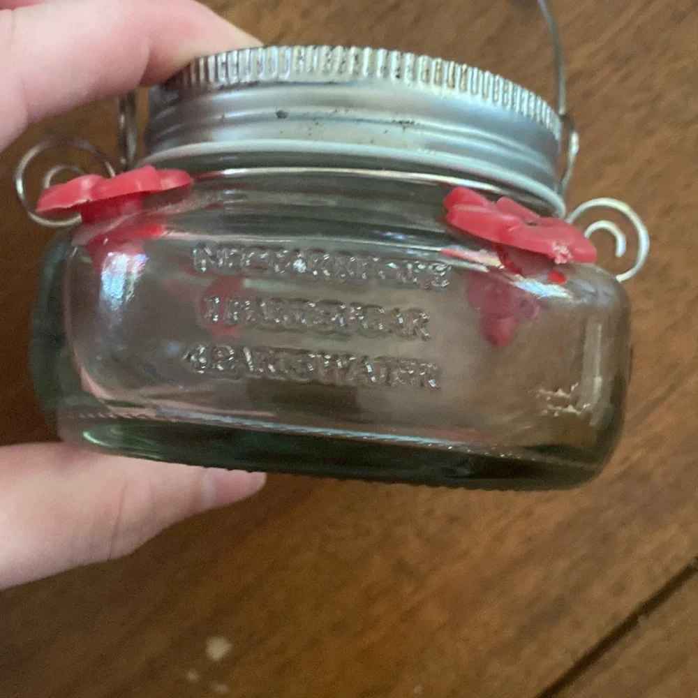 ☀️Baby Hummingbird Feeder